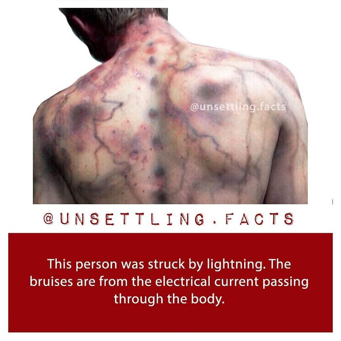 69 Creepy And Unsettling Facts You Might End Up Thinking About At 3 AM