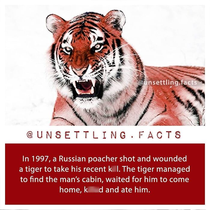 69 Creepy And Unsettling Facts You Might End Up Thinking About At 3 AM
