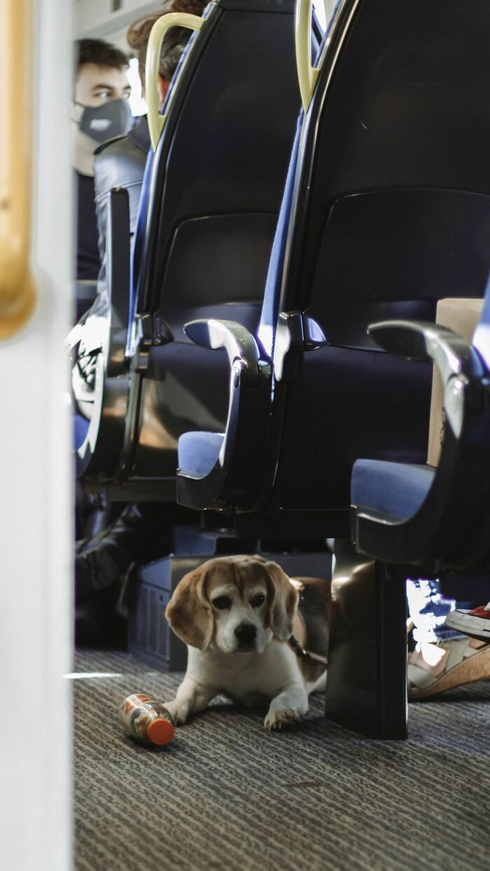 30 Passengers Share Stories Of Parents Who Used Their Kids To Get Better Seats On Flights