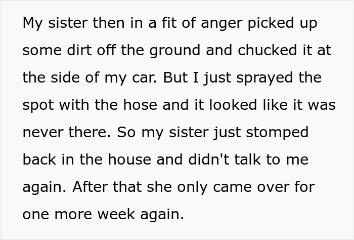 Teen Works 2 Years To Buy His First Car, Jealous Sis Smashes The Game Consoles In Return