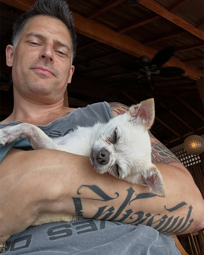 Joe Manganiello Lashes Out At Sofía Vergara With Blistering Accusations About Their Marriage As Fans Take Sides Joe Manganiello Lashes Out At Sofía Vergara With Blistering Accusations About Their Marriage As Fans Take Sides