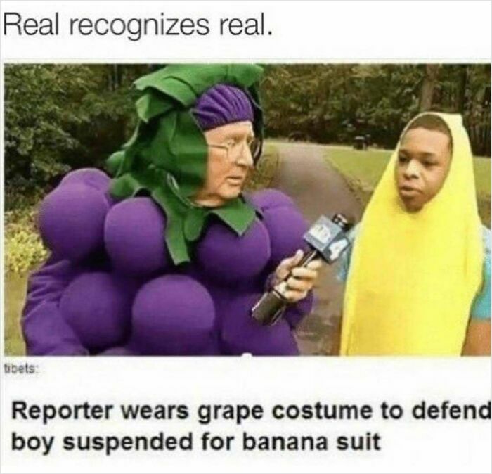 75 Hilarious And Unhinged News Headlines That Deserve To Be Shared Again 75 Hilarious And Unhinged News Headlines That Deserve To Be Shared Again