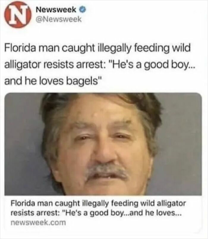75 Hilarious And Unhinged News Headlines That Deserve To Be Shared Again 75 Hilarious And Unhinged News Headlines That Deserve To Be Shared Again