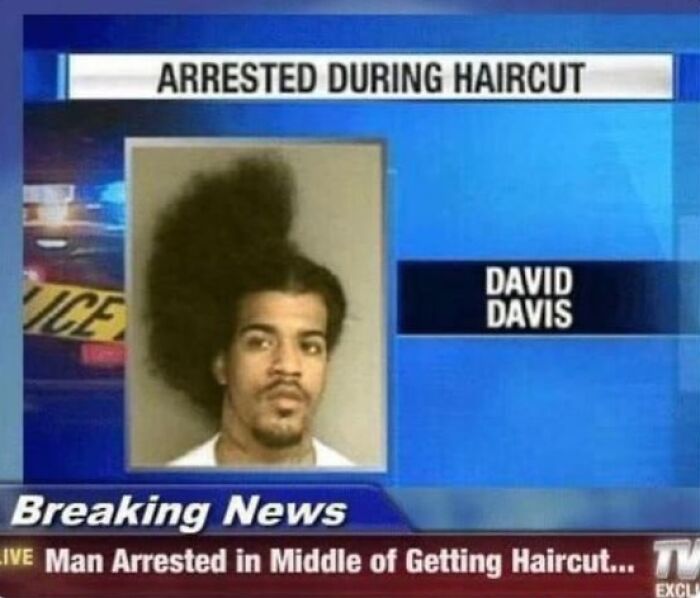 75 Hilarious And Unhinged News Headlines That Deserve To Be Shared Again 75 Hilarious And Unhinged News Headlines That Deserve To Be Shared Again