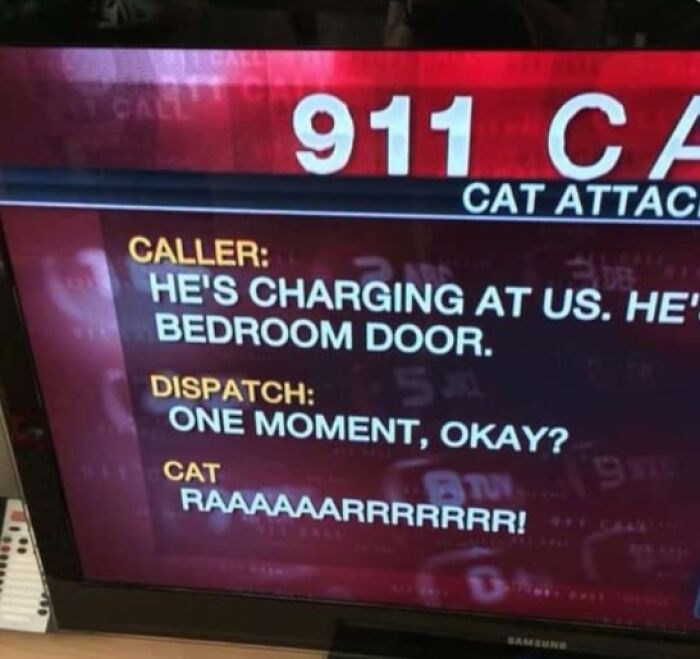 75 Hilarious And Unhinged News Headlines That Deserve To Be Shared Again 75 Hilarious And Unhinged News Headlines That Deserve To Be Shared Again