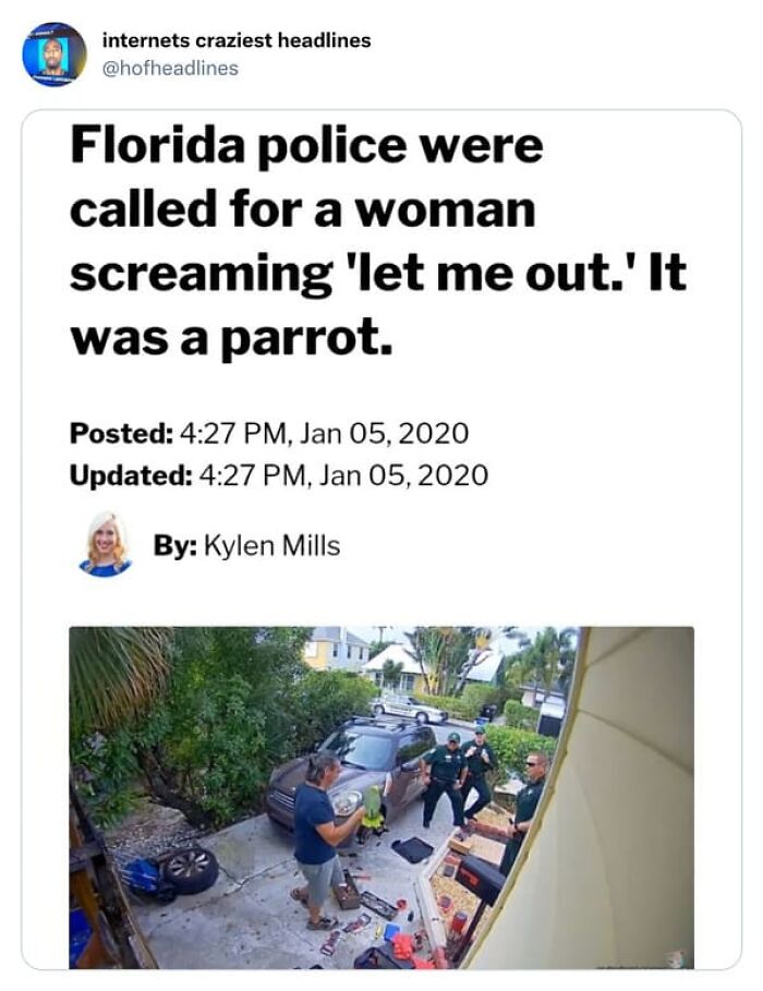 75 Hilarious And Unhinged News Headlines That Deserve To Be Shared Again 75 Hilarious And Unhinged News Headlines That Deserve To Be Shared Again