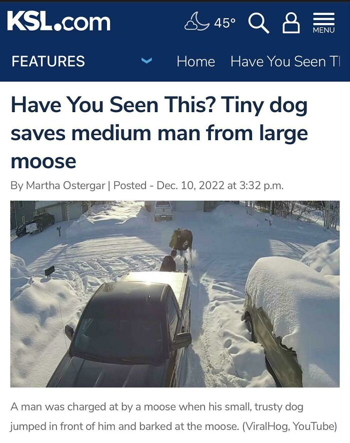 75 Hilarious And Unhinged News Headlines That Deserve To Be Shared Again 75 Hilarious And Unhinged News Headlines That Deserve To Be Shared Again