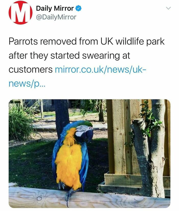 75 Hilarious And Unhinged News Headlines That Deserve To Be Shared Again 75 Hilarious And Unhinged News Headlines That Deserve To Be Shared Again