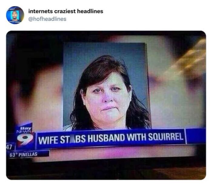 75 Hilarious And Unhinged News Headlines That Deserve To Be Shared Again 75 Hilarious And Unhinged News Headlines That Deserve To Be Shared Again