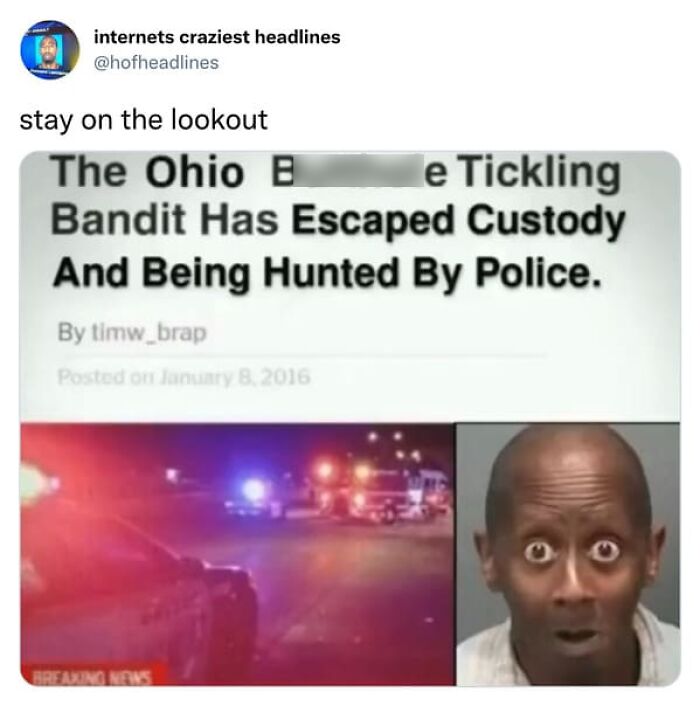 75 Hilarious And Unhinged News Headlines That Deserve To Be Shared Again 75 Hilarious And Unhinged News Headlines That Deserve To Be Shared Again
