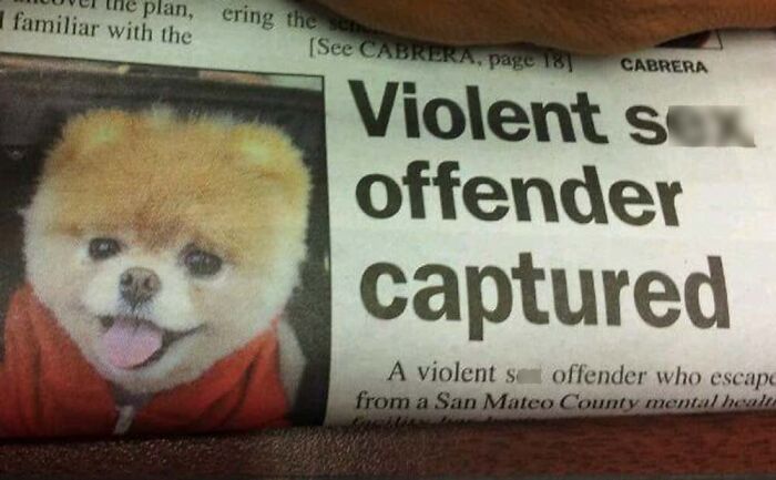 75 Hilarious And Unhinged News Headlines That Deserve To Be Shared Again 75 Hilarious And Unhinged News Headlines That Deserve To Be Shared Again
