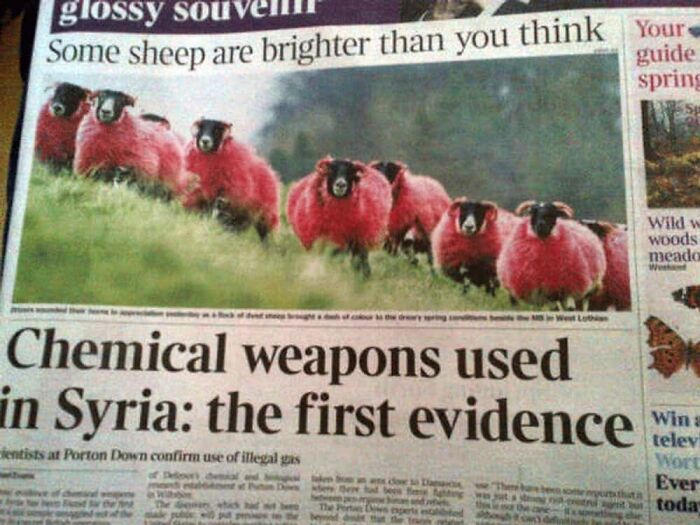 75 Hilarious And Unhinged News Headlines That Deserve To Be Shared Again 75 Hilarious And Unhinged News Headlines That Deserve To Be Shared Again