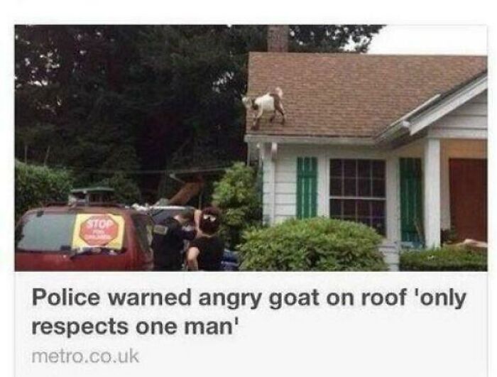 75 Hilarious And Unhinged News Headlines That Deserve To Be Shared Again 75 Hilarious And Unhinged News Headlines That Deserve To Be Shared Again