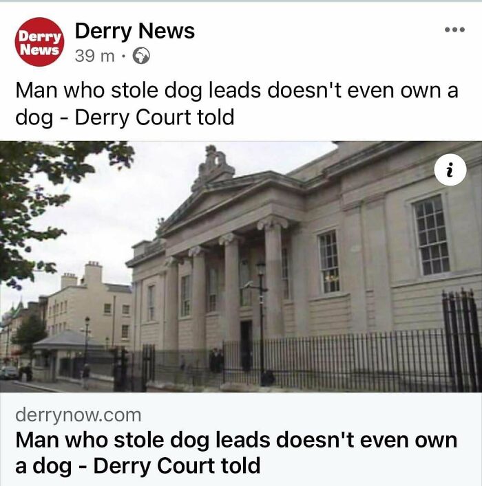 75 Hilarious And Unhinged News Headlines That Deserve To Be Shared Again 75 Hilarious And Unhinged News Headlines That Deserve To Be Shared Again