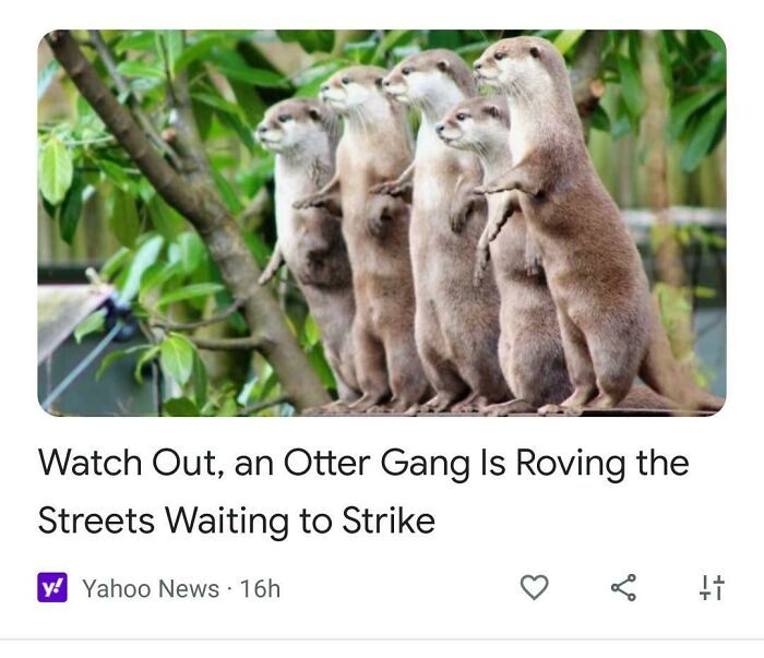 75 Hilarious And Unhinged News Headlines That Deserve To Be Shared Again 75 Hilarious And Unhinged News Headlines That Deserve To Be Shared Again