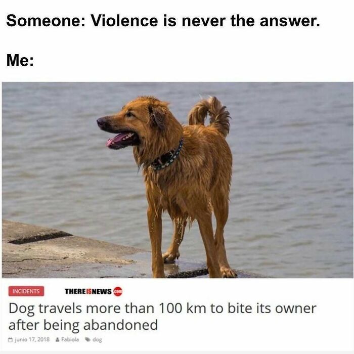75 Hilarious And Unhinged News Headlines That Deserve To Be Shared Again 75 Hilarious And Unhinged News Headlines That Deserve To Be Shared Again