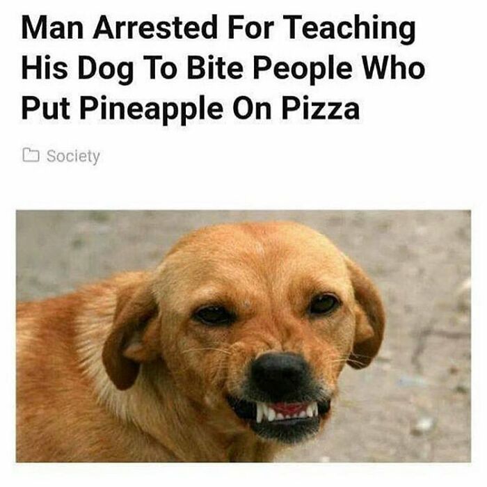 75 Hilarious And Unhinged News Headlines That Deserve To Be Shared Again 75 Hilarious And Unhinged News Headlines That Deserve To Be Shared Again