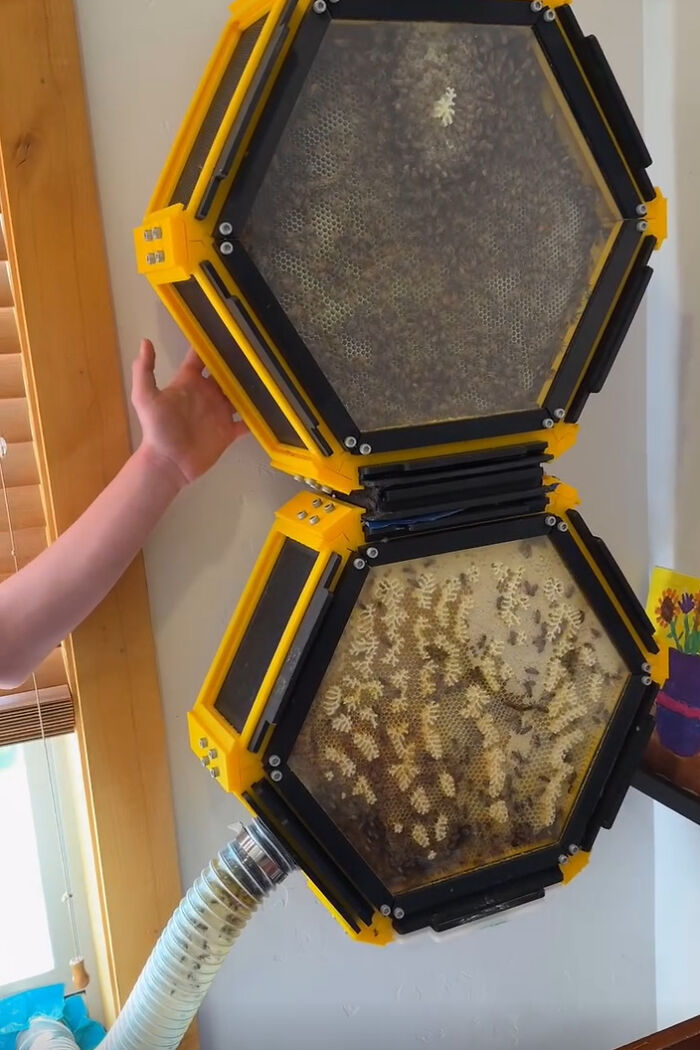 66 Times Human Ingenuity Hit Its Absolute Ceiling Thanks To A 3D Printer And Some Audacity 66 Times Human Ingenuity Hit Its Absolute Ceiling Thanks To A 3D Printer And Some Audacity
