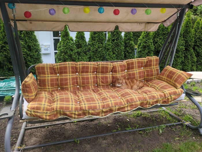 69 Cute, Confusing And Interesting Examples Of Accidental Camouflage 69 Cute, Confusing And Interesting Examples Of Accidental Camouflage