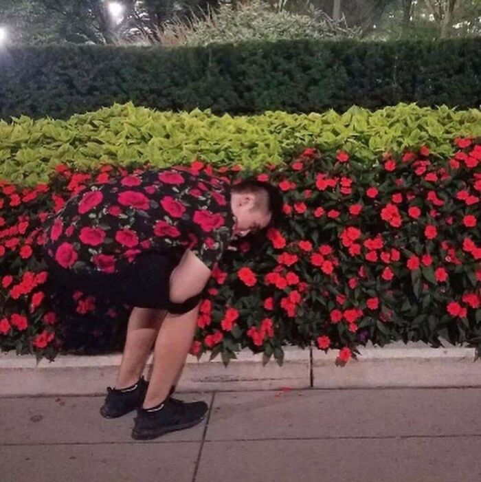 69 Cute, Confusing And Interesting Examples Of Accidental Camouflage 69 Cute, Confusing And Interesting Examples Of Accidental Camouflage