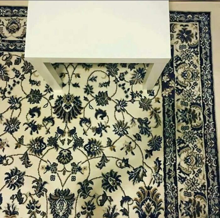 69 Cute, Confusing And Interesting Examples Of Accidental Camouflage 69 Cute, Confusing And Interesting Examples Of Accidental Camouflage