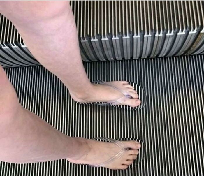 69 Cute, Confusing And Interesting Examples Of Accidental Camouflage 69 Cute, Confusing And Interesting Examples Of Accidental Camouflage