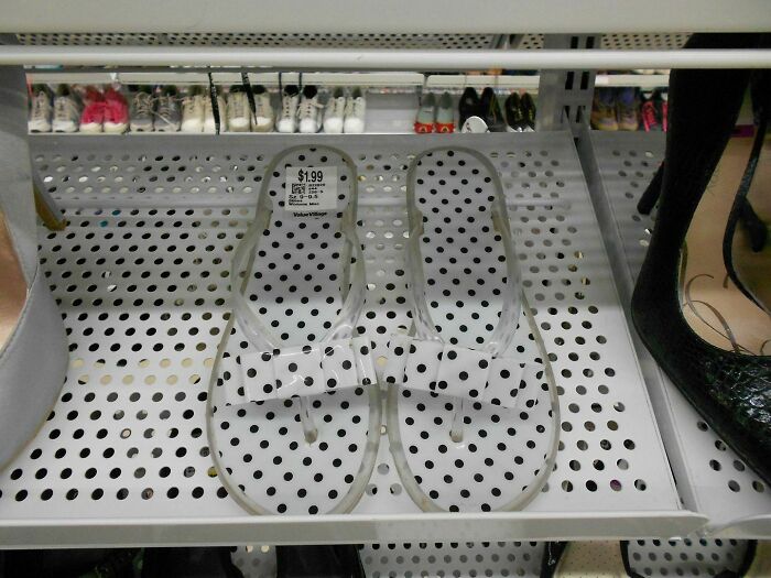 69 Cute, Confusing And Interesting Examples Of Accidental Camouflage 69 Cute, Confusing And Interesting Examples Of Accidental Camouflage
