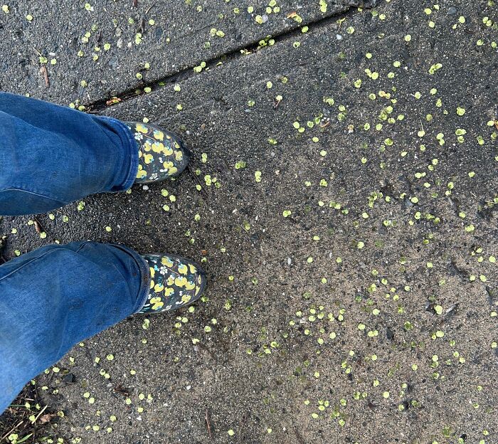 69 Cute, Confusing And Interesting Examples Of Accidental Camouflage 69 Cute, Confusing And Interesting Examples Of Accidental Camouflage