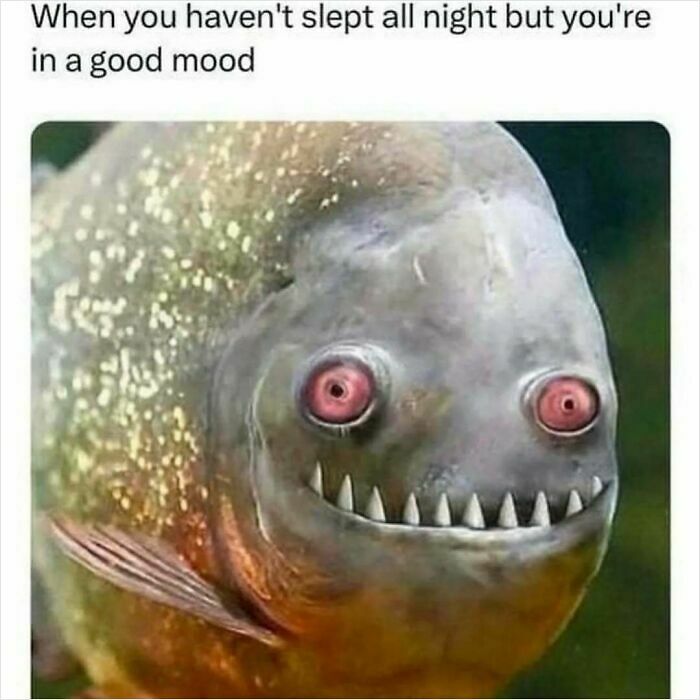 75 Hilariously Relatable Memes That Somehow Know Exactly What Life Feels Like