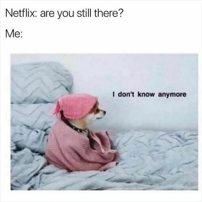 75 Hilariously Relatable Memes That Somehow Know Exactly What Life Feels Like