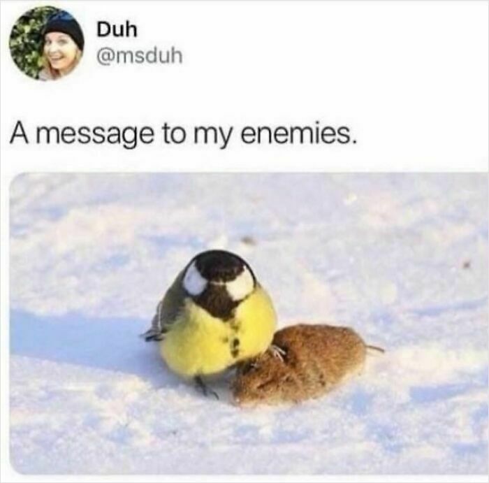 75 Hilariously Relatable Memes That Somehow Know Exactly What Life Feels Like