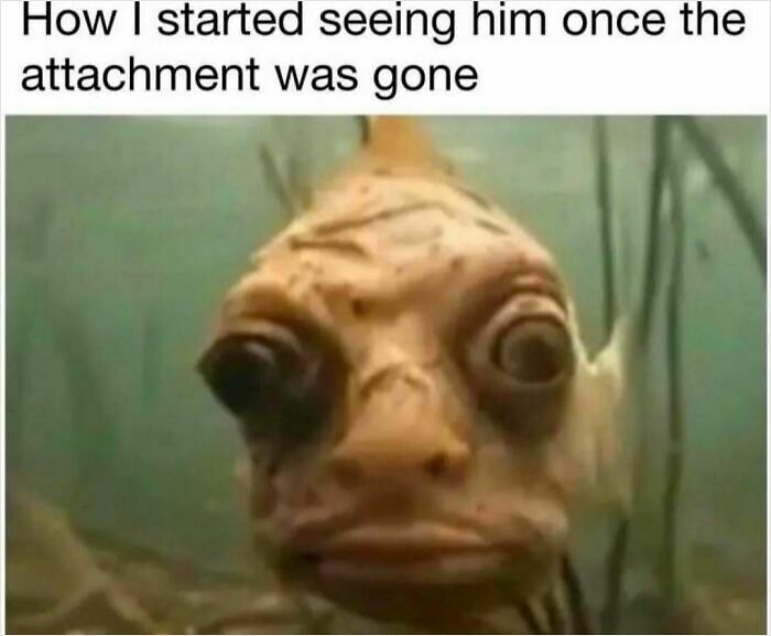 75 Hilariously Relatable Memes That Somehow Know Exactly What Life Feels Like