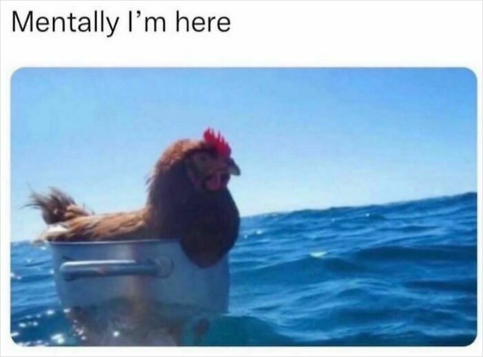 75 Hilariously Relatable Memes That Somehow Know Exactly What Life Feels Like