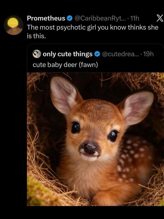 75 Hilariously Relatable Memes That Somehow Know Exactly What Life Feels Like