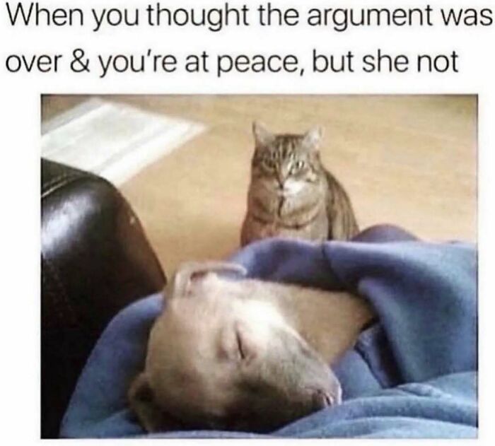 75 Hilariously Relatable Memes That Somehow Know Exactly What Life Feels Like