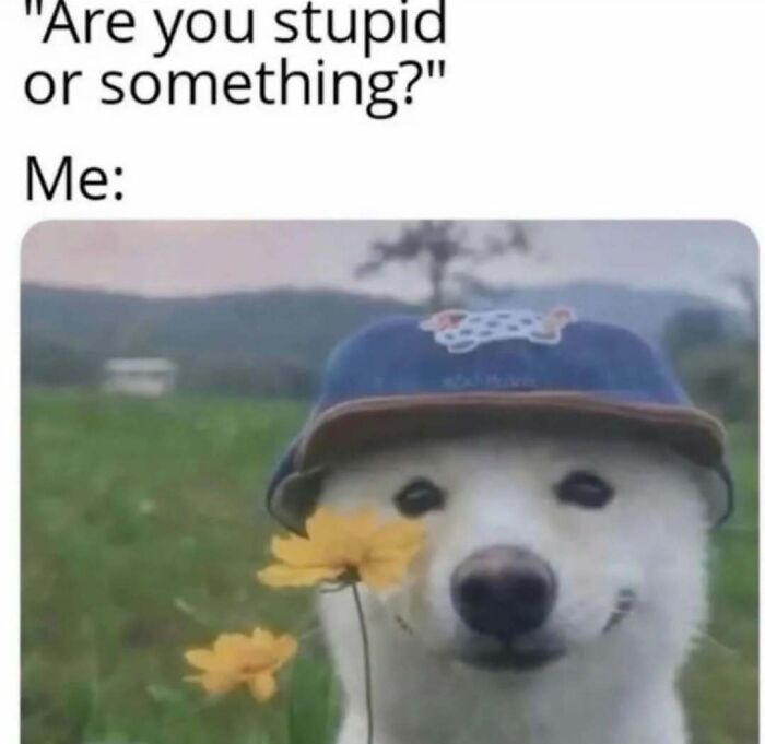 75 Hilariously Relatable Memes That Somehow Know Exactly What Life Feels Like