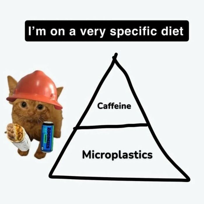 75 Hilariously Relatable Memes That Somehow Know Exactly What Life Feels Like
