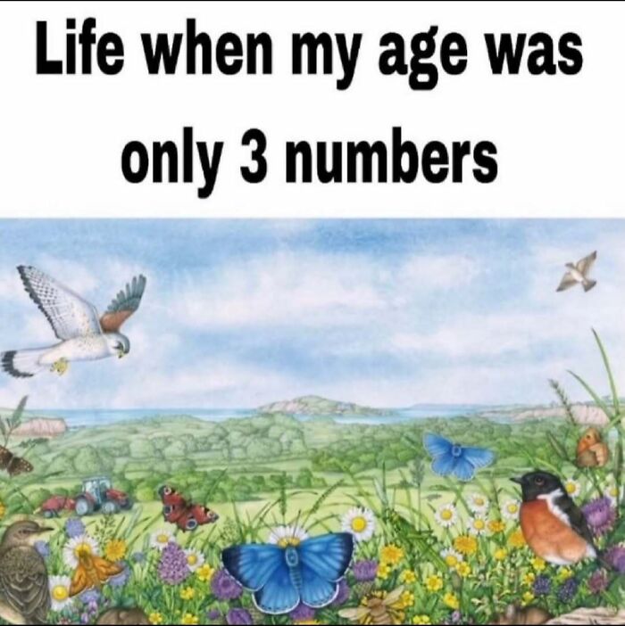 75 Hilariously Relatable Memes That Somehow Know Exactly What Life Feels Like