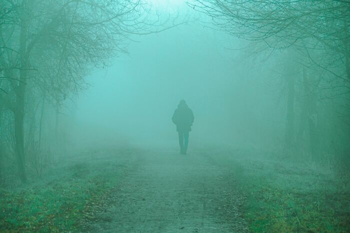 People Are Sharing The Scariest True Stories They Know, And These 45 Are Seriously Chilling