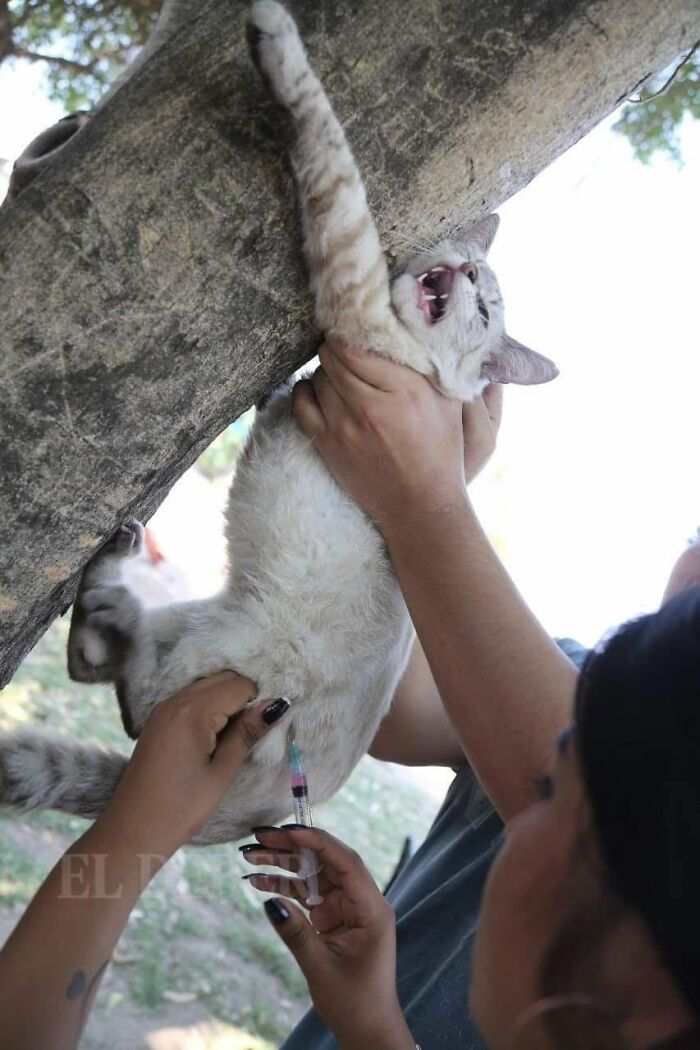 53 Animals Who Never Planned To Be Funny, As Shared By This Facebook Page