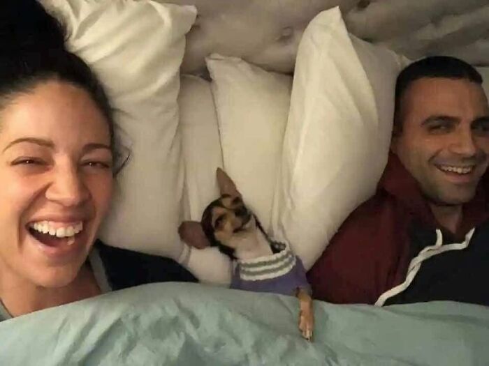 53 Animals Who Never Planned To Be Funny, As Shared By This Facebook Page