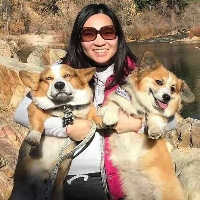 53 Animals Who Never Planned To Be Funny, As Shared By This Facebook Page