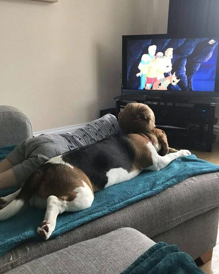 53 Animals Who Never Planned To Be Funny, As Shared By This Facebook Page