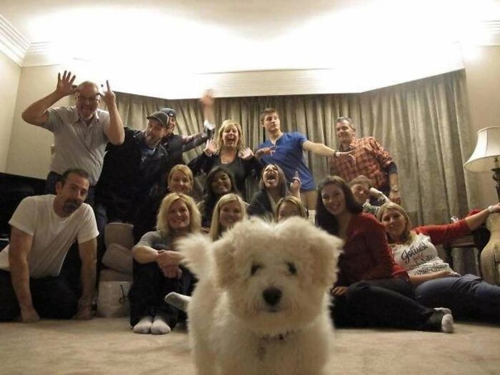 53 Animals Who Never Planned To Be Funny, As Shared By This Facebook Page