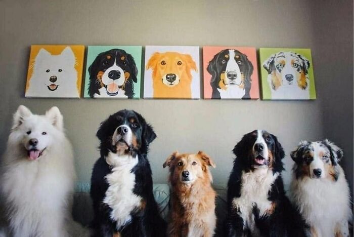 53 Animals Who Never Planned To Be Funny, As Shared By This Facebook Page
