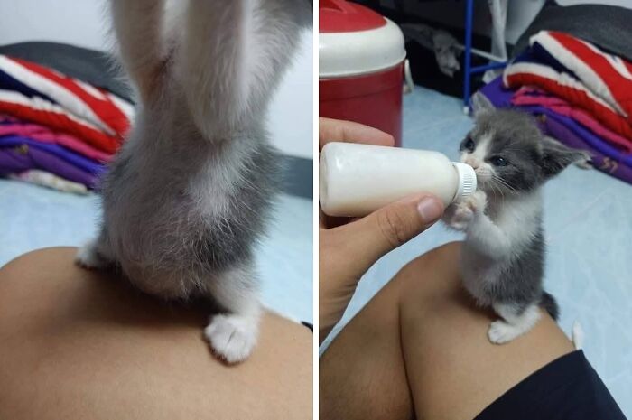 53 Animals Who Never Planned To Be Funny, As Shared By This Facebook Page