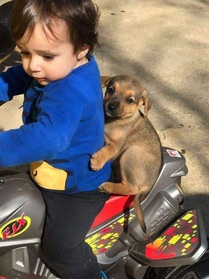 53 Animals Who Never Planned To Be Funny, As Shared By This Facebook Page