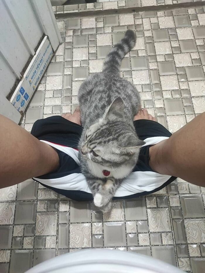 53 Animals Who Never Planned To Be Funny, As Shared By This Facebook Page