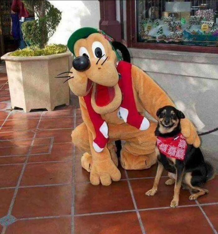 53 Animals Who Never Planned To Be Funny, As Shared By This Facebook Page
