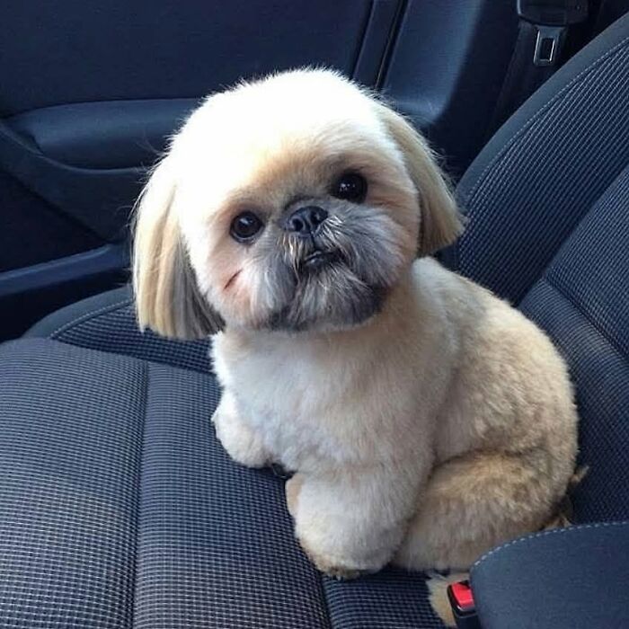 53 Animals Who Never Planned To Be Funny, As Shared By This Facebook Page